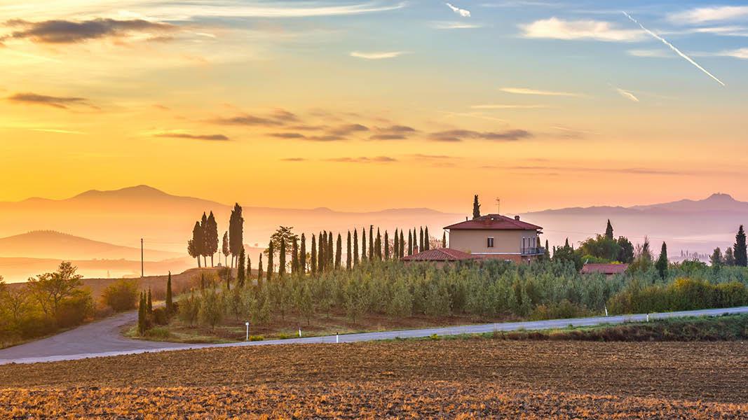 Landskab og pinjetrer i Toscana